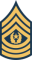 Command Sergeant Major