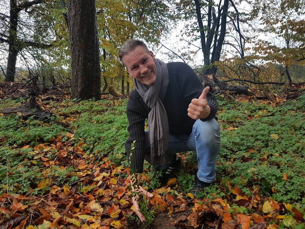Foto 6 aus dem Album 2017-11-09 Lantreffen in Bramsche