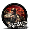 Brothers in Arms: Hell's Highway Icon