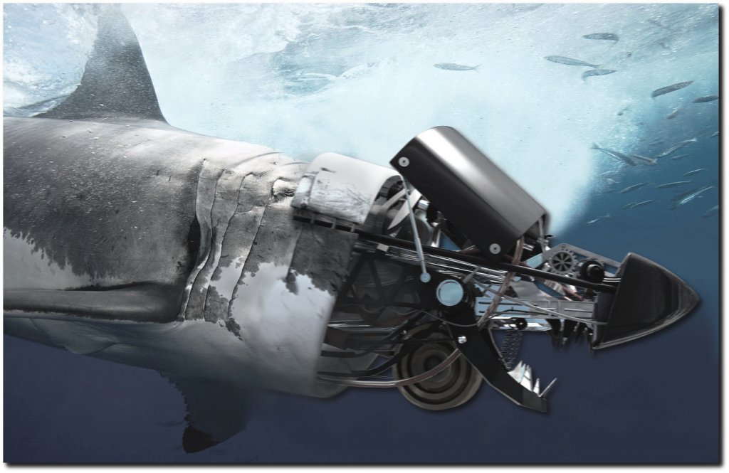 Robo-Shark