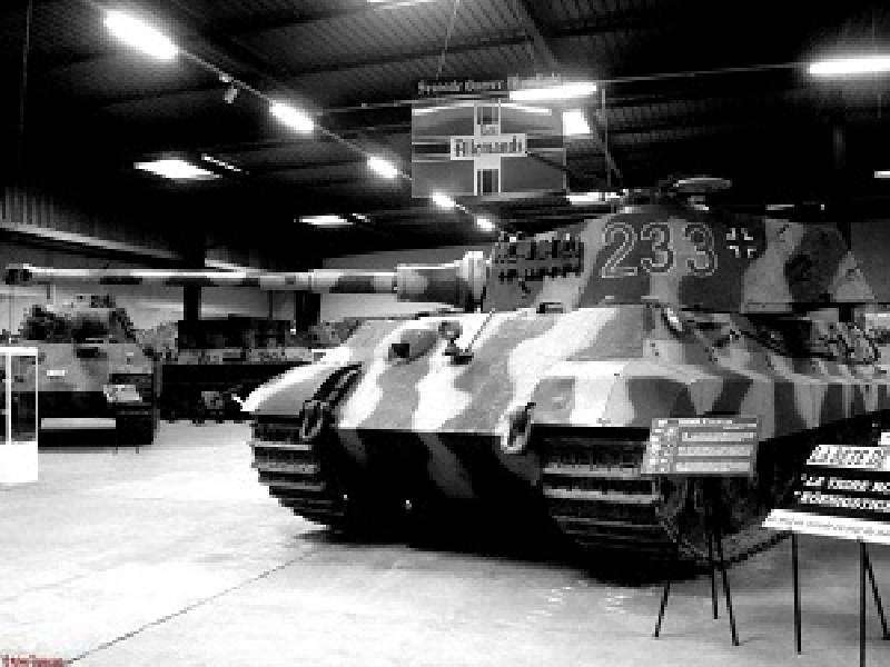 King Tiger