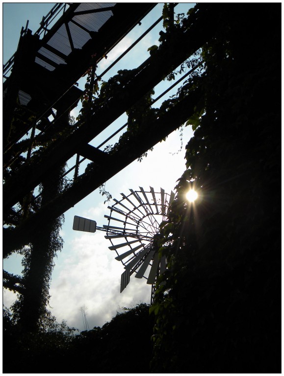 Foto 6 aus dem Album AudioNaUT