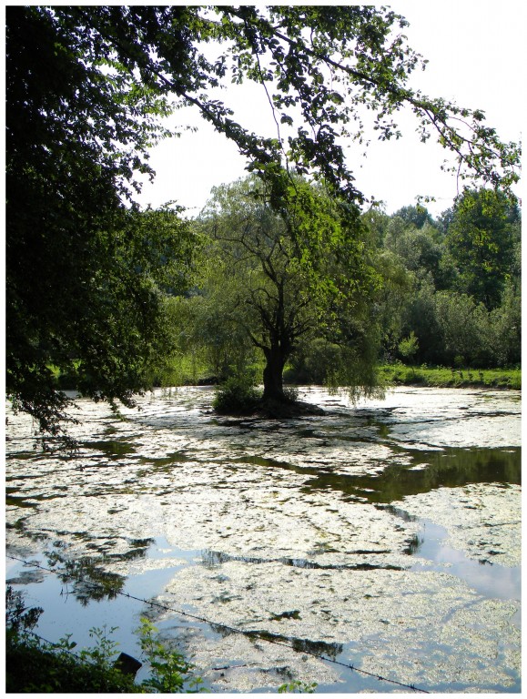Foto 4 aus dem Album AudioNaUT