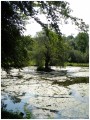 Foto aus dem Album AudioNaUT